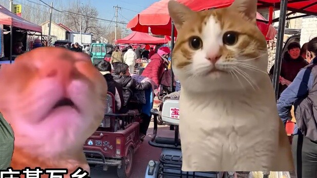 Orang pedesaan diam tapi tetap beresonansi