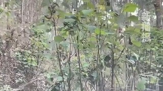 导航：这条路能走，下次推荐！