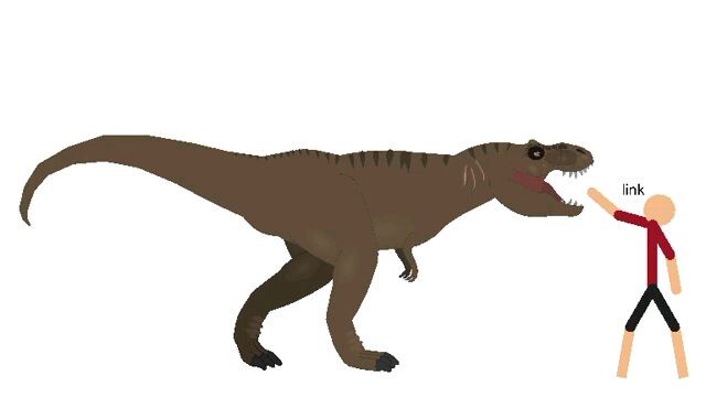 rex stk