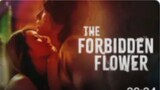 THE FORBIDDEN FLOWER Episode 3 Tagalog Dubbed