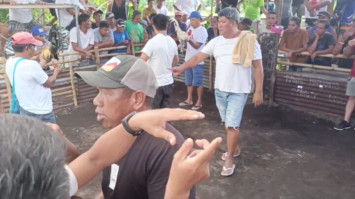 Sabong/Tupada: Win/Talisay