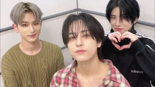 【&TEAM·TIKTOK】250407 🐱🐰🐣 What do you like? (YUMA/HARUA/TAKI)