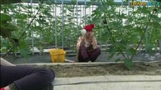 Bachelors Vegetable Store Episode 5 Eng Sub