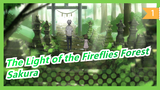 [The Light of the Fireflies Forest] Sakura_1