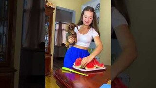 А ВЫ ЧТО ПОДУМАЛИ? 🐶