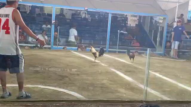 2 hits ulutan champion @ Cav Col