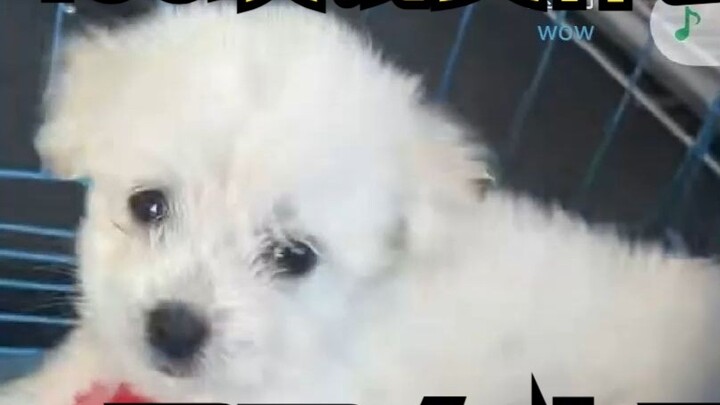 What to buy with 400 yuan? I bought a string to live in my sister's house!