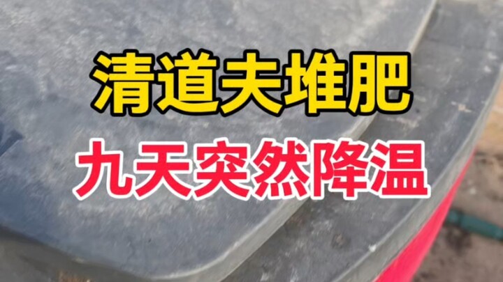 You really can’t be lazy with composting—this is what happens when you fail to water it at the right