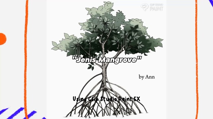 Jenis jenis mangrove