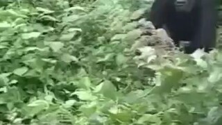 Stay calm and don't move(≧∇≦)