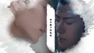【羡忘ABO】世子殿下的宠妃15 对外心狠对内温柔羡X清冷单纯湛 双洁生子HE