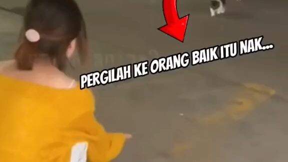 INDUK YANG BAIK MEMILIH MAJIKAN UNTUK ANAK NYA🥺😫