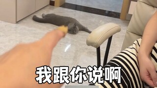 Pointing at the mulberry tree and cursing the locust tree