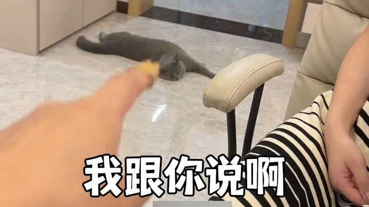 Chỉ tay mắng cây hòe