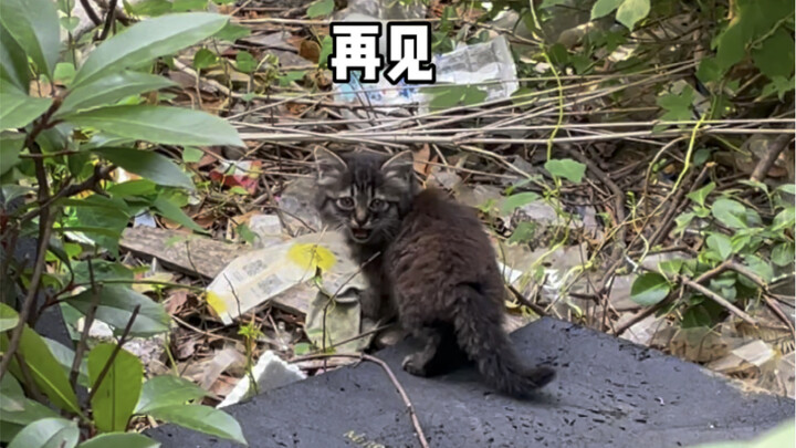 We’re really saying “goodbye” this time.