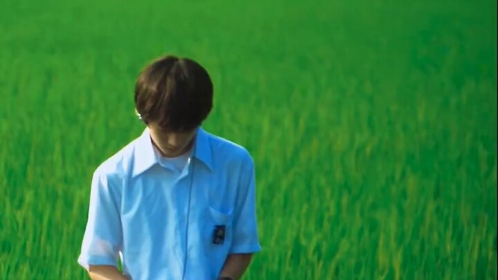 Movie Aesthetics | "There is an invincible summer in me."