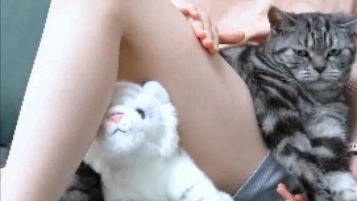 It’s so hard to get close to your kitten in winter!