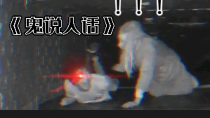 Komunitas hantu benar-benar kacau—Penghargaan untuk Tingkah Manusia yang Paling Membingungkan!