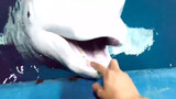 Cute Animals｜A Beluga Spraying Water to Its Keeper 