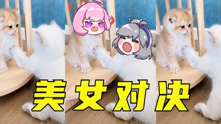 Beauty Showdown