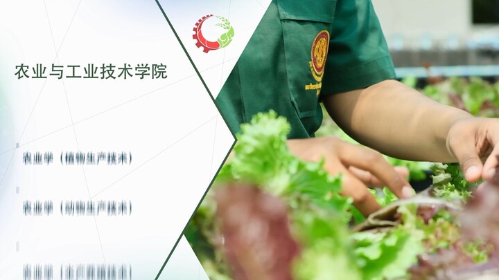 final Chinese language
