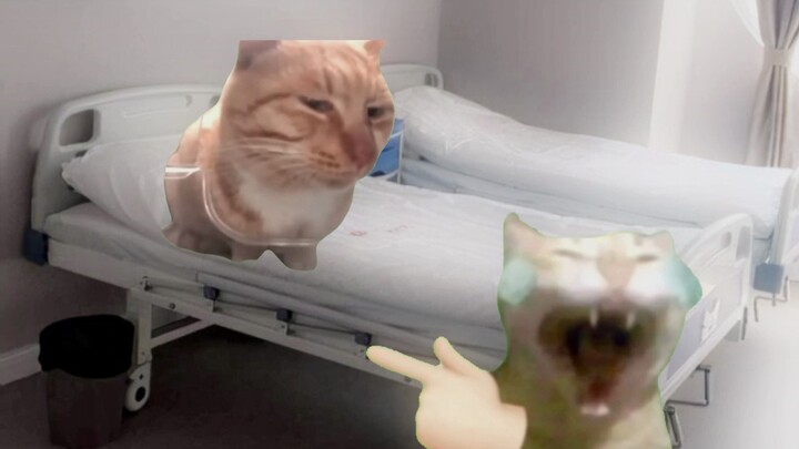 Ăn cơm mà cũng phải lắc à?