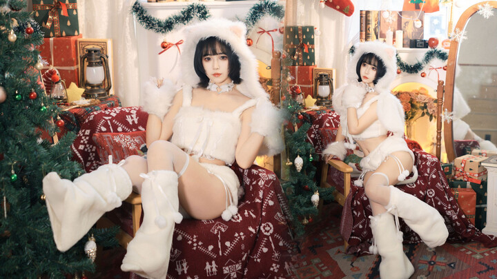 Sorry for how adorable this white cat is!