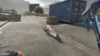 【Delta】What happens when you blow up the alligator on the trading bridge