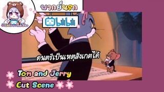 Tom and Jerry ทอมแอนเจอรี่ ตอน ศึกดนตรีเดือด 🌸พากย์นรก🌸