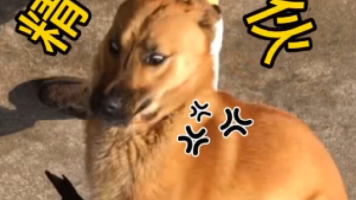 ฉันกับเจ้านายจอมขี้ฟ้องของฉัน