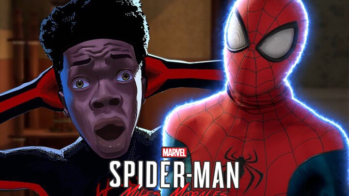 《ไอ้โง่ แมงมุมฮีโร่》