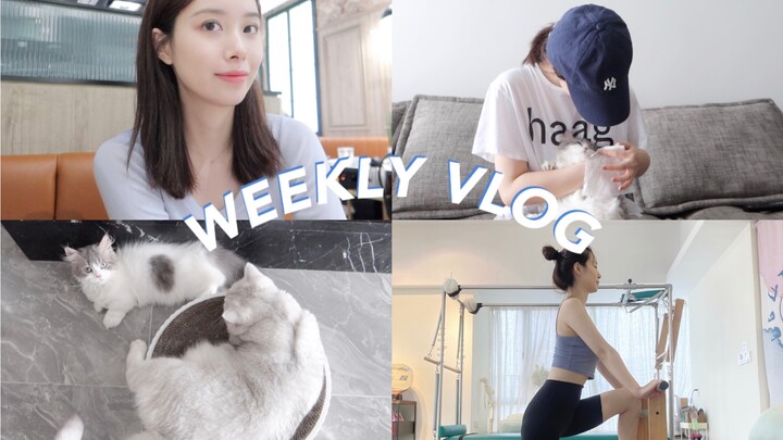 VLOG MINGGUAN Seminggu Menjalani Rutinitas Olahraga | Apa Saja Isi Tasku | Dua Kali Makan Sehari | P