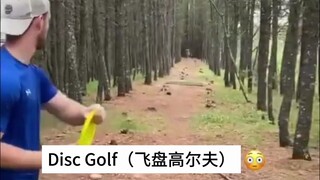 飞盘高尔夫Disc Golf，少了一些对抗，却增加了一些趣味性，如果能把目标换成活动的物体，大鹅之类的就更好了，你说呢？