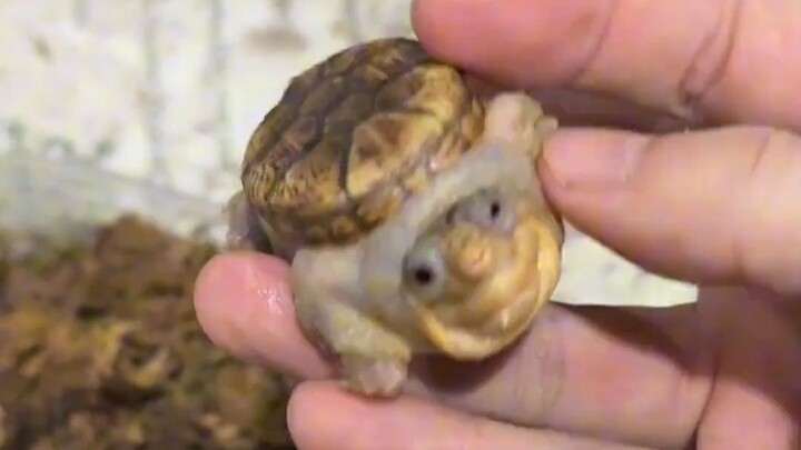 ช่างเถอะ คุณคงคิดว่ามันไม่น่าสนใจหรอก