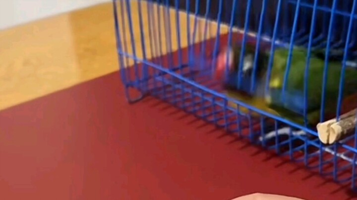 The way he closes the door is so practiced it's almost heartbreaking.