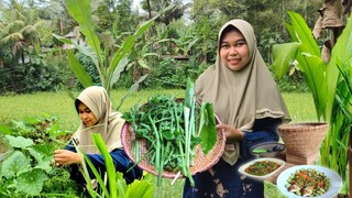 Daun KUNYIT Dimasak Sama Asin Peda, Enaknya Bikin Gagal Diet, GULAI Pucuk Labu, Masakan Kampung