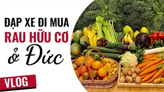 Trên đường đi mua rau cải kale to như cái ô thích không muốn về