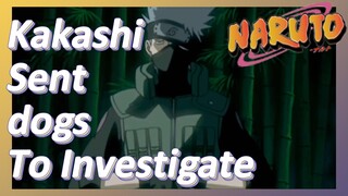 Kakashi Sent dogs To Investigate