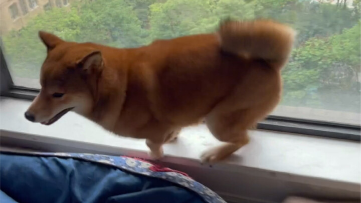 妈妈的好大儿（这是你妈给你的浪漫）