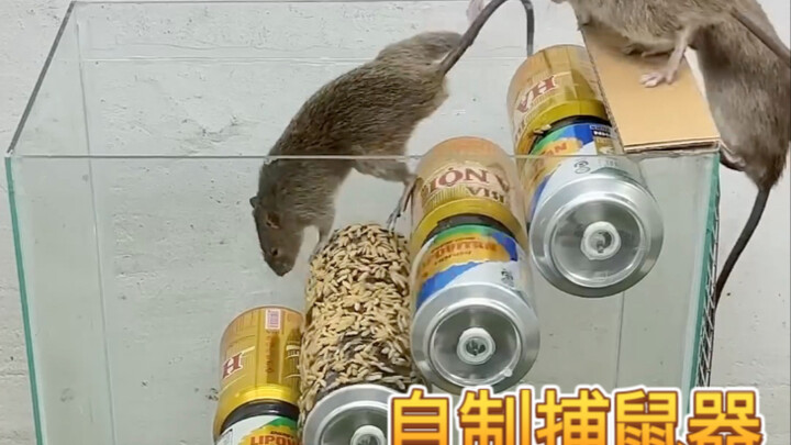 自制捕鼠神器：鼠鼠我啊，回不去了