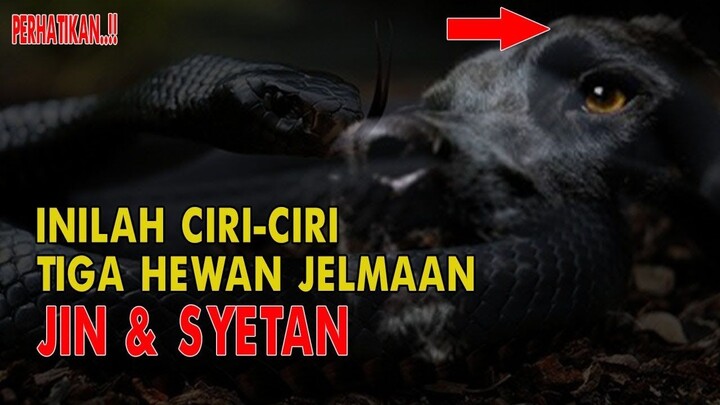 WASPADA..!! INILAH 3 JENIS DAN TANDA HEWAN JELMAAN JIN & SETAN