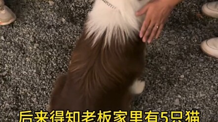 ประมาณ 21.00 น. วันที่ 29 ตุลาคม ฉันเจอเจ้าชายที่หลงทางอยู่ในทะเลสาบซงซานฮู...