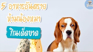 5 อาหารอันตราย ห้ามน้องหมากินเด็ดขาด SudPad-Dog