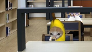 เรียนรู้แมวกล้วยที่หิวโซ (ตอนบน)