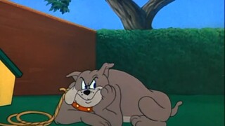 The Gunner is a Wolf, the Doctor is a Pig