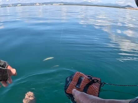 นักตกปลาต่างหากที่ได้เห็นวิวสวยๆ มากที่สุด