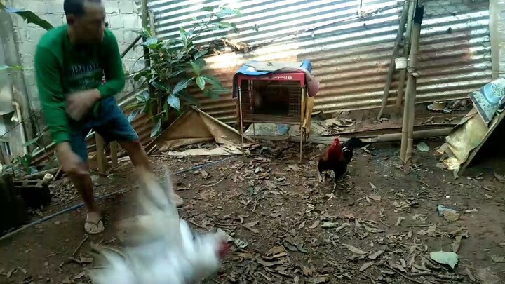 physical exercise whitekelso