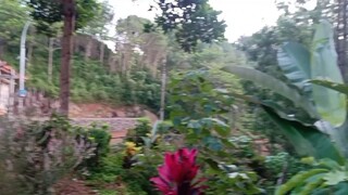 pemandangan gunung condong, kebumen, jawa tengah