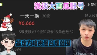 （补档）『爱涛tv』合理理性讨论浅聊大西瓜账号挂藏宝阁63个s挂6600，对比庄亮48个s挂1w2高下立判（补档是因为庄亮不是大西瓜）