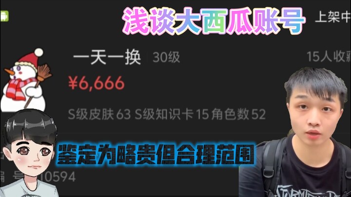 （补档）『爱涛tv』合理理性讨论浅聊大西瓜账号挂藏宝阁63个s挂6600，对比庄亮48个s挂1w2高下立判（补档是因为庄亮不是大西瓜）